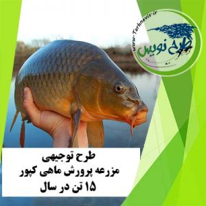طرح توجیهی پرورش ماهی کپور 15 تن در سال