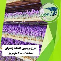 طرح توجیهی گلخانه زعفران 2000 مترمربع
